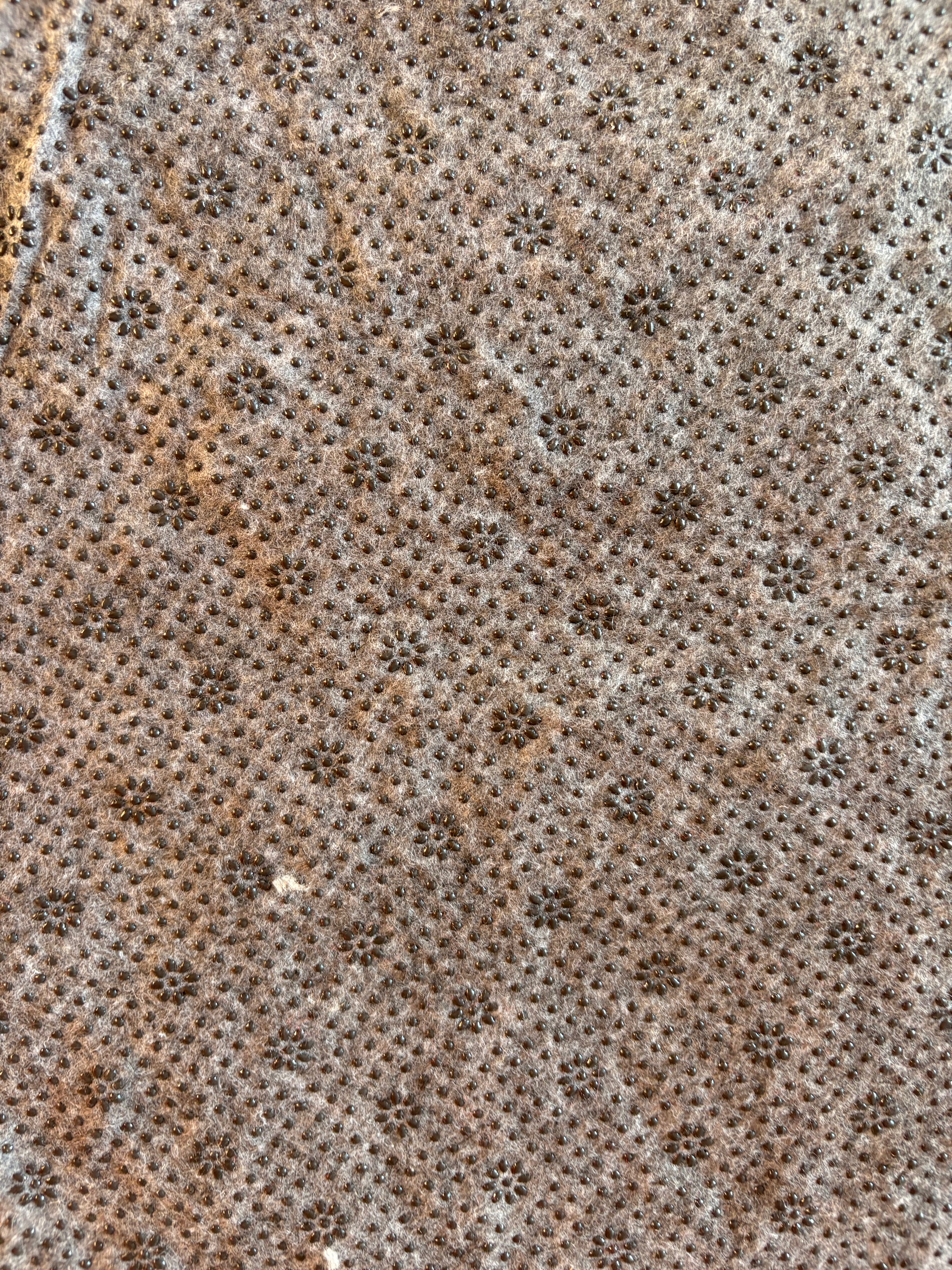 Caroline — Tapis tortue tufté
